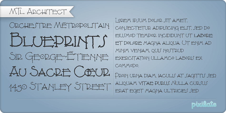 Displaying the beauty and characteristics of the Montreal Architect Px font family.