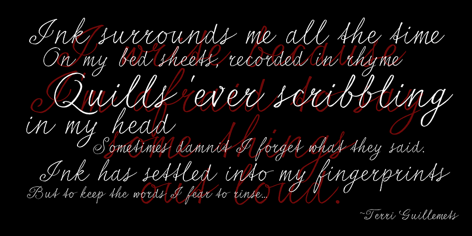 Displaying the beauty and characteristics of the seriousSally font family.