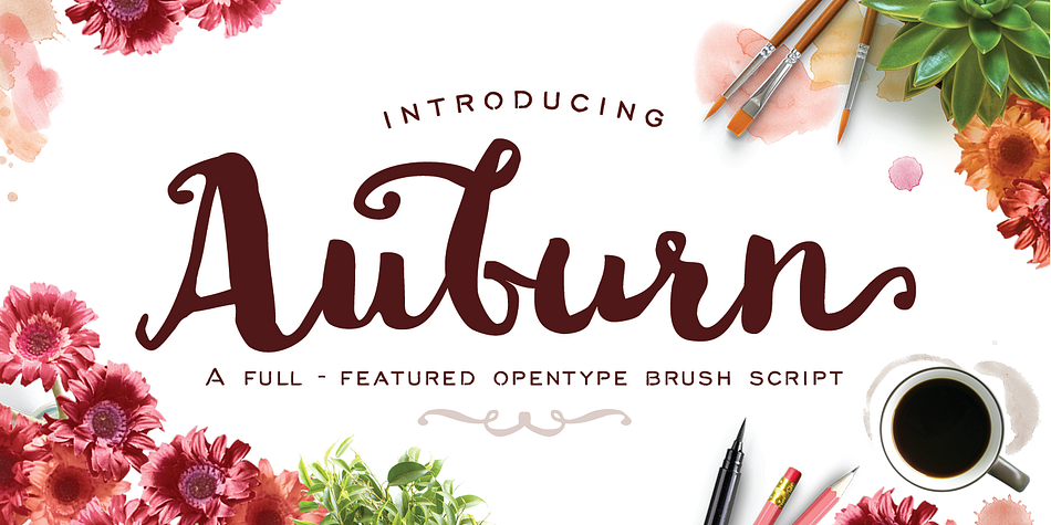 Auburn is a bold, hand-drawn brush script packed with OpenType features and accompanied by a handy set of extra, including catchwords and flourishes.