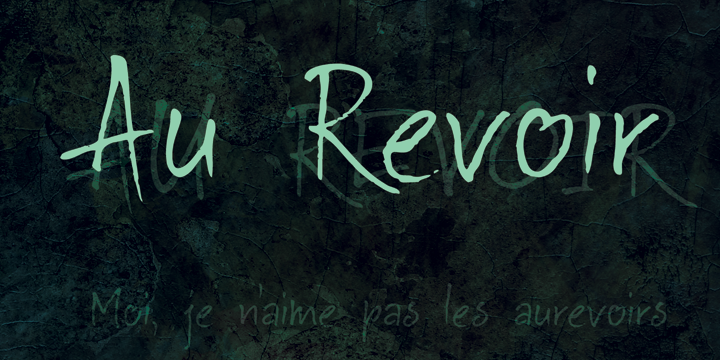 Displaying the beauty and characteristics of the Au Revoir font family.