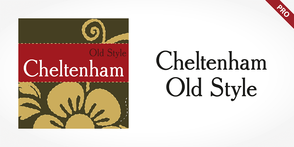 Cheltenham Old Style Pro is one of the fonts of the SoftMaker font library.