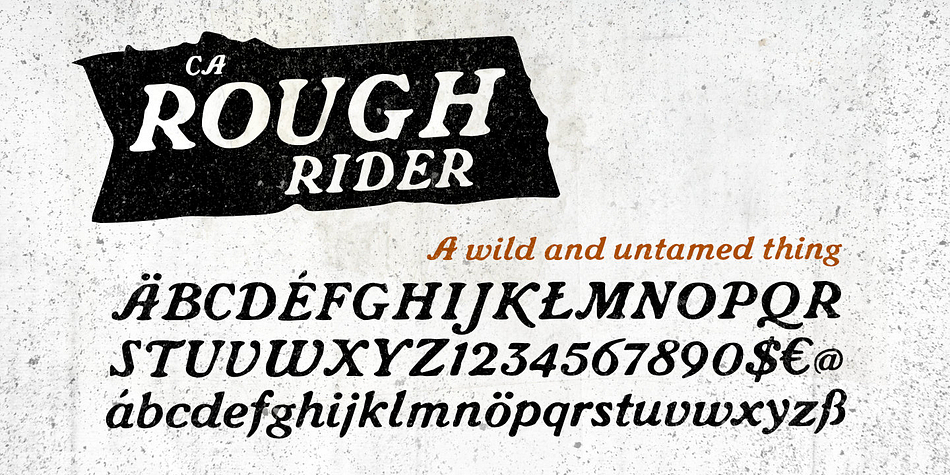 Intended as a rough display style typeface it’s perfect for illustrative titles, logotypes and small texts.