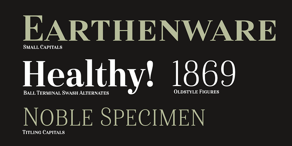 Even more to its versatility, this multi-purpose text face features whimsical terminals, which liven up even the most serious texts.