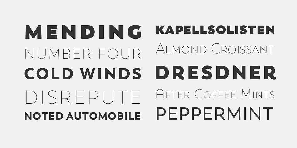 This new typeface comes with a wider character set that offers a complete family of uppercase and lowercase in different weights.