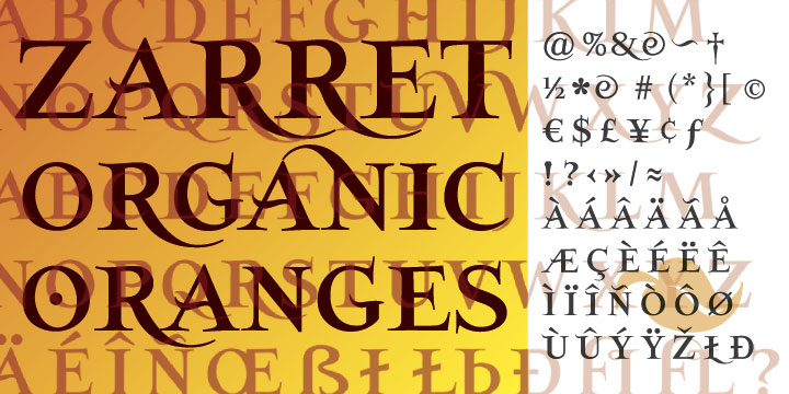 Displaying the beauty and characteristics of the SalamancaTF font family.