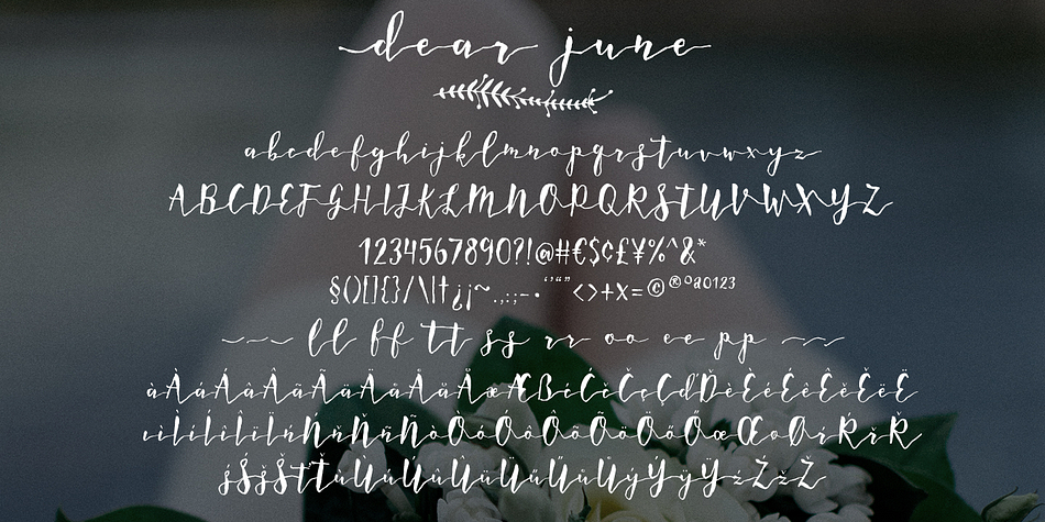 Displaying the beauty and characteristics of the Dear June font family.