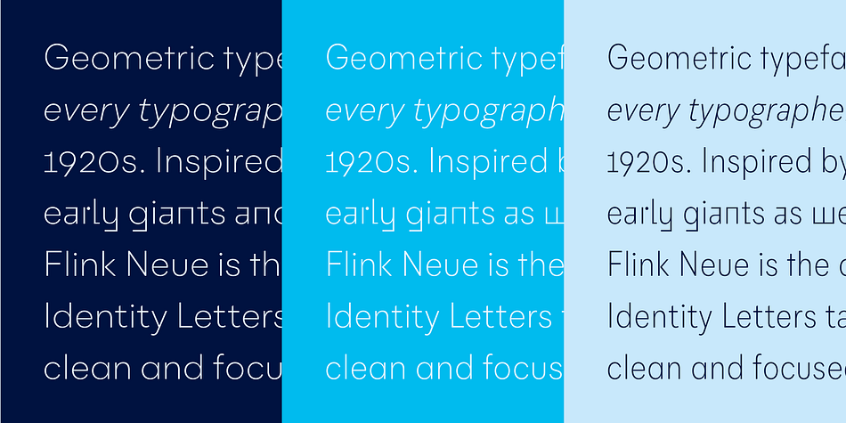 There are almost 1400 characters per style, including nine stylistic sets that offer variations to the look and feel of Flink Neue, making it even more versatile.