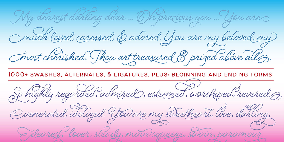 Includes regular and bold weights.