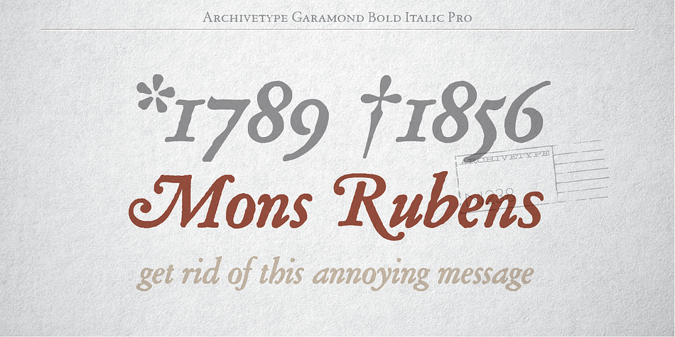 Archive Garamond Pro has extensive Latin language support.