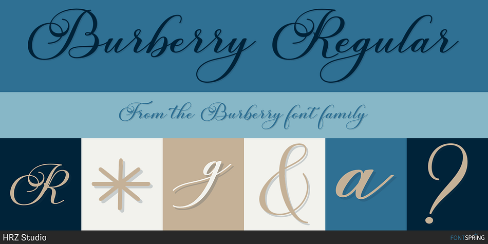 Burberry shop script font