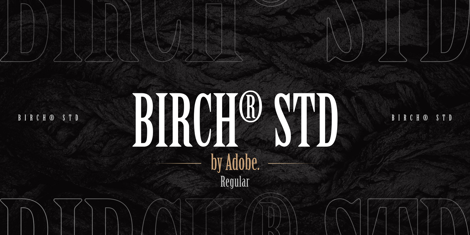 Birch® Std