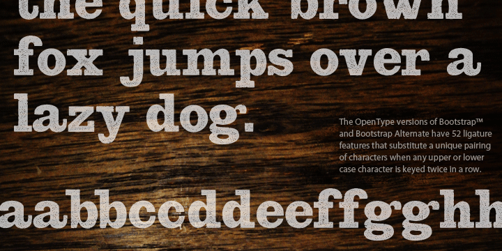 Highlighting the Bootstrap Pro font family.