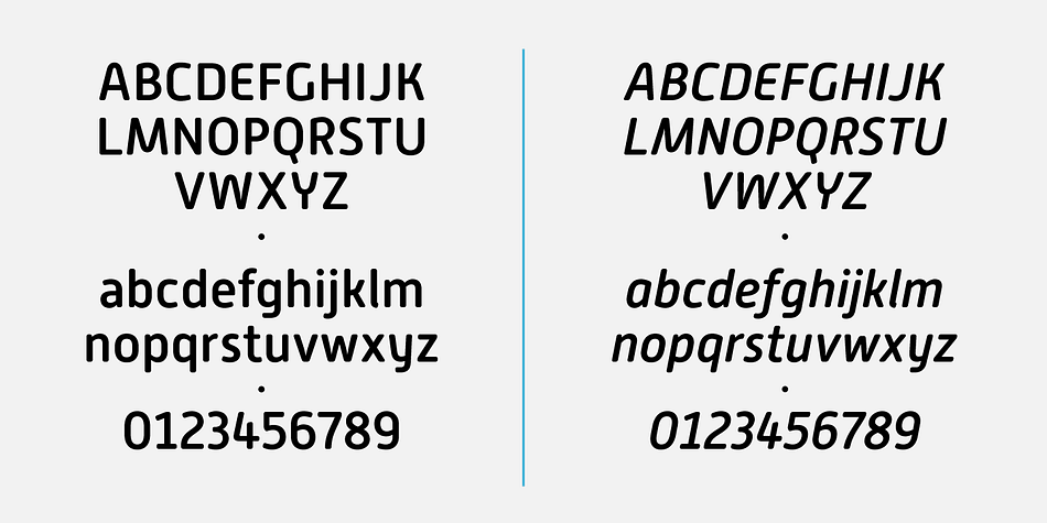 Highlighting the Alwyn New Rounded font family.