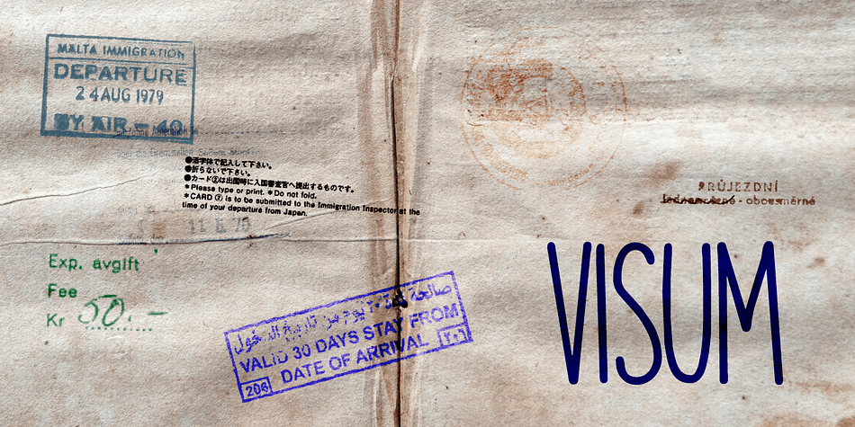 Visum means Visa in Dutch.