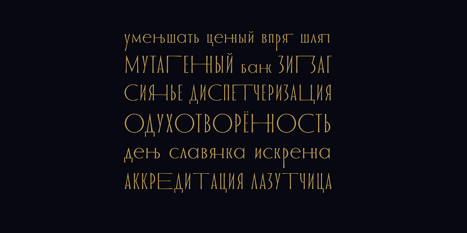 GOR includes all letters of Europeans and Slavonic alphabets, standard and oldstyle numbers, small capitals, just about 1000 characters, and 29 Opentype features, so that it can be used in completely different situations.