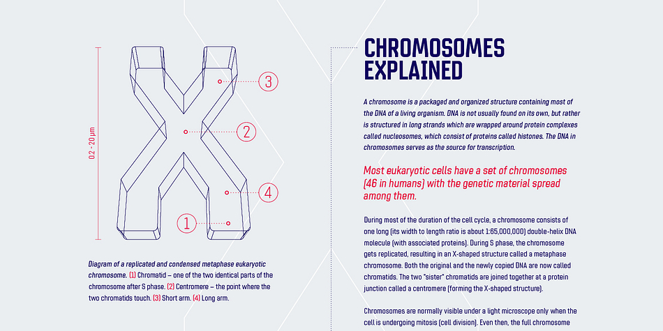 Chromoxome Pro is a a ten font family.