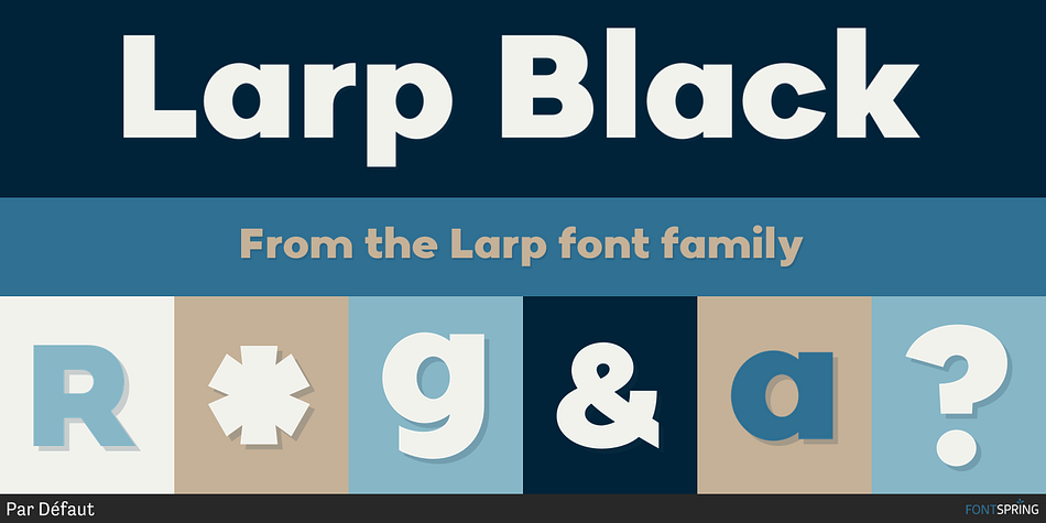 Larp Black Font