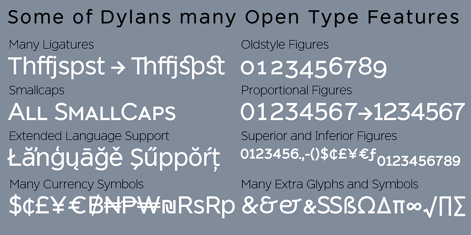 Dylan is a a fourteen font family.