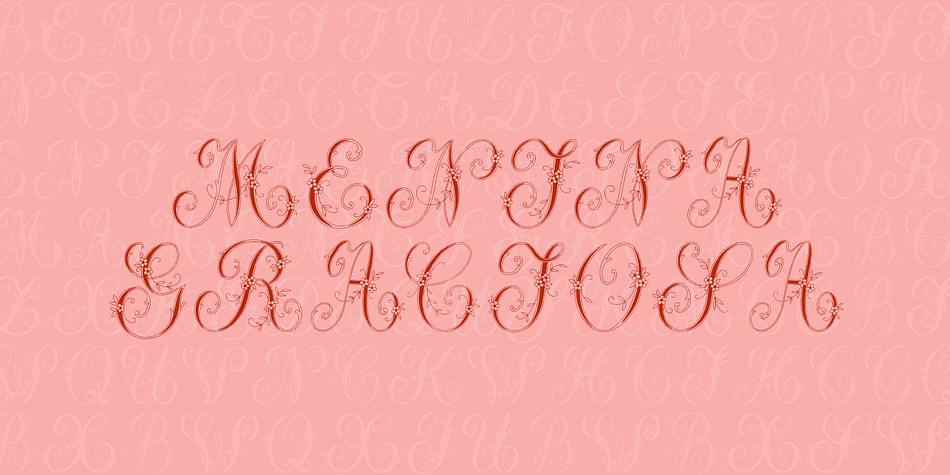 Displaying the beauty and characteristics of the Menina Graciosa font family.
