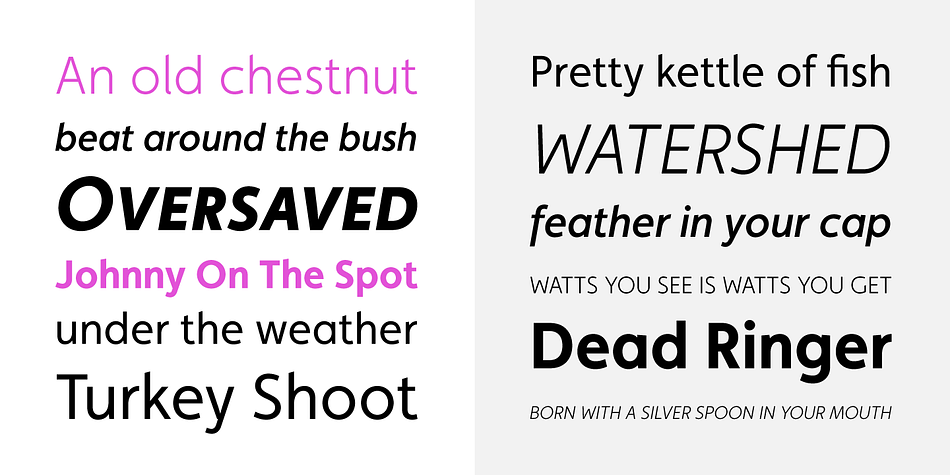 The new version has small caps, tabular, proportional and old style numerals and ligatures.