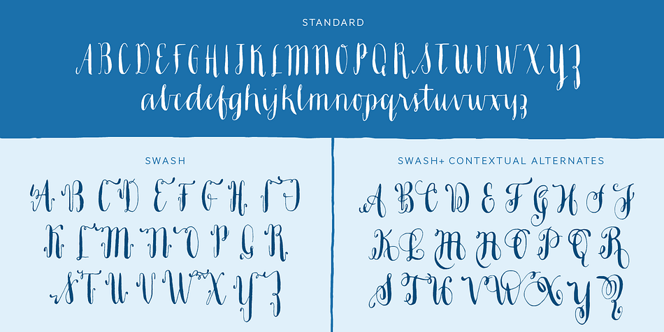 Emphasizing the favorited Ahra font family.