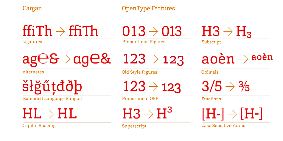 All weights contain ligatures, superior characters, proportional lining figures, tabular lining figures, proportional old style figures, lining old style figures, matching currency symbols, fraction- and scientific numerals and matching arrows.