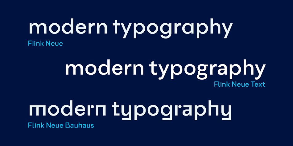 Displaying the beauty and characteristics of the Flink Neue VF font family.