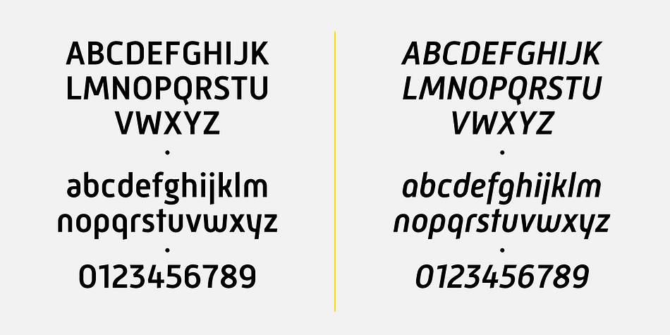 Displaying the beauty and characteristics of the Mic 32 New font family.
