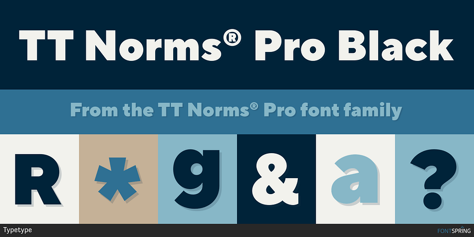 TT Norms® Pro Black Font