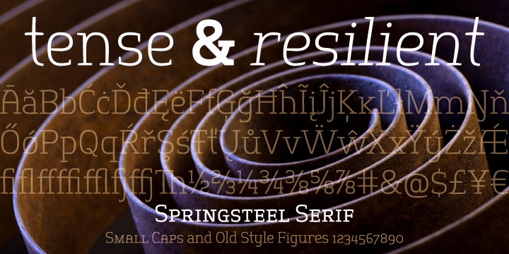 A companion to Springsteel (sans), this serif typeface is intended for longer text blocks and smaller sizes.