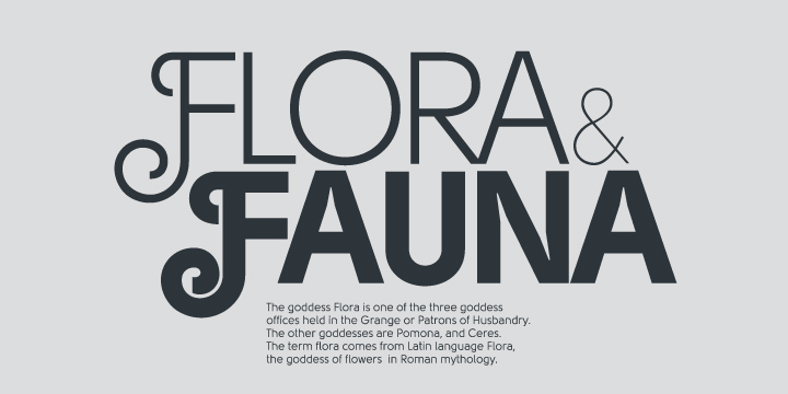 Solomon font family example.