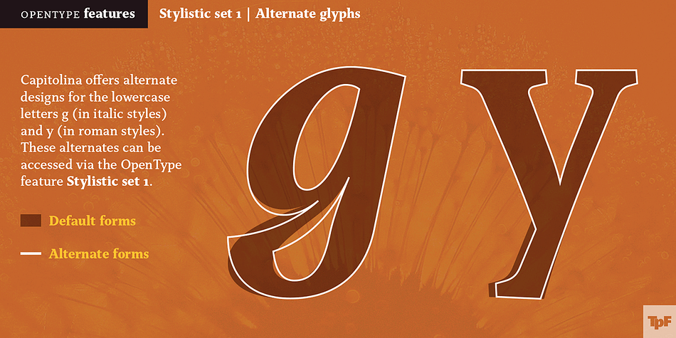 Besides supporting basic Latin, western, central, and southeastern European sets, it has several OpenType features, such as case-sensitive forms, small capitals, ligatures, localized forms, number forms, fractions and more.
