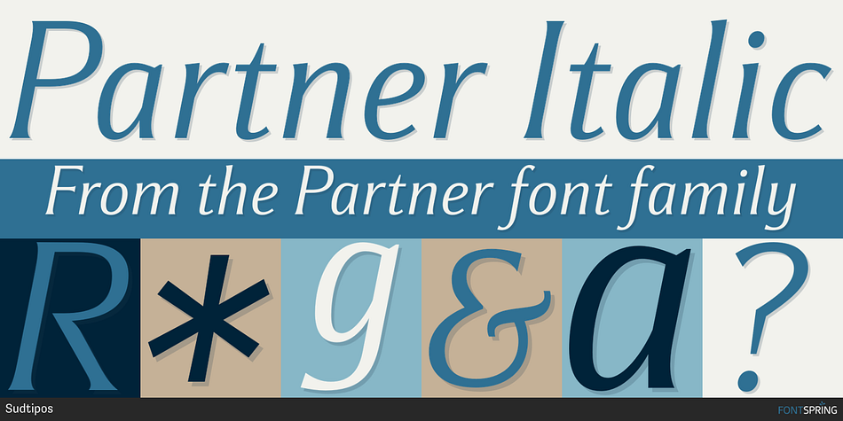 Partner Italic Font