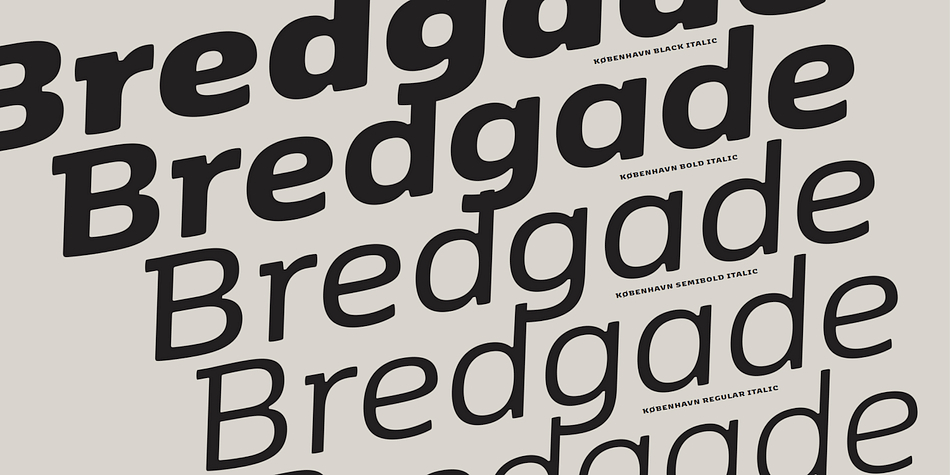 FP København is designed by Henrik Birkvig and Morten Olsen and features an extra dingbat font.