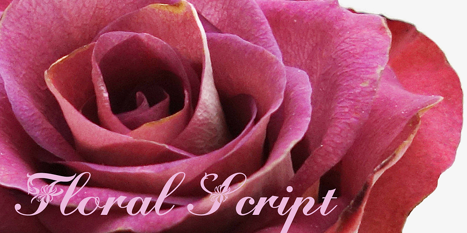 Floralscript is an english copperplate script decorated with flowers and curly leaves.