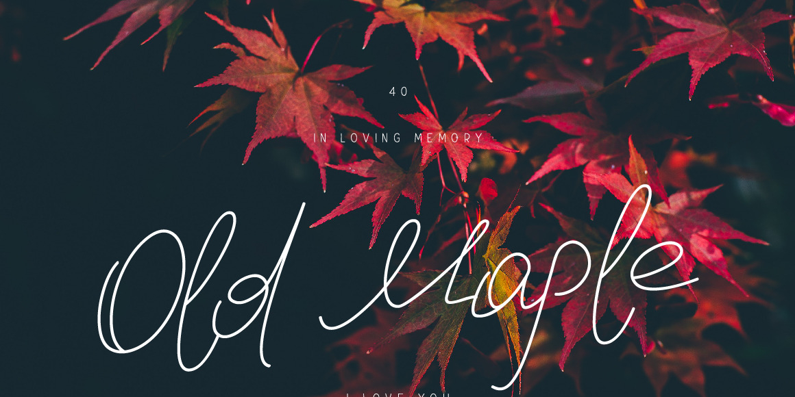 Old Maple