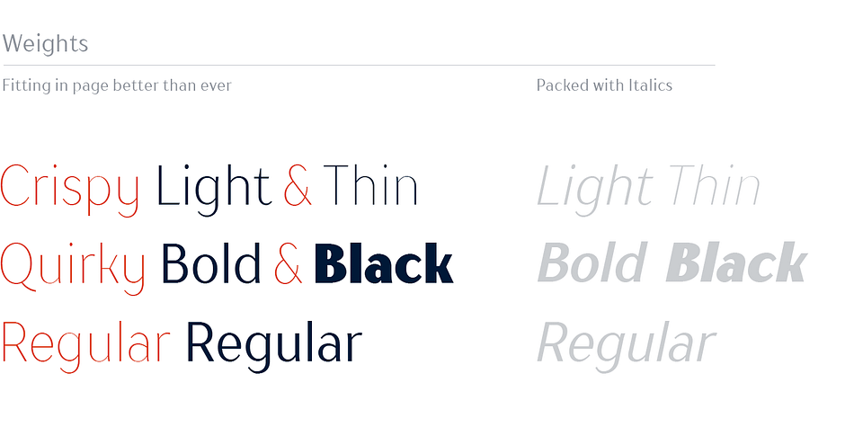 This new font family includes 5 most popular weights: thin, light, regular, bold, black and corresponding italics.