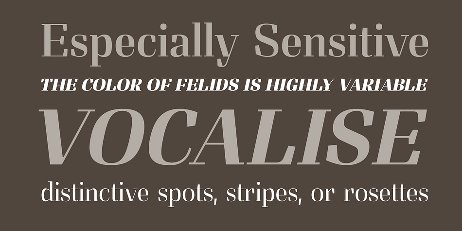 Felis is a fifteen font, serif family by Typomancer.