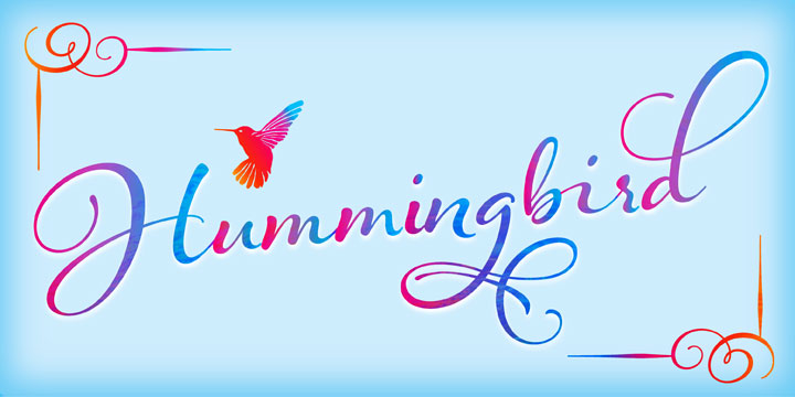 Emphasizing the popular Hummingbird font family.