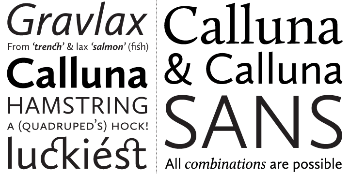 Calluna Sans is a humanist sans based on Calluna.