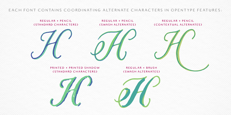 This six-font, hand-lettered family is loosely based on traditional letterforms. Used alone, Liesel Regular reflects a warm, antique aesthetic.
