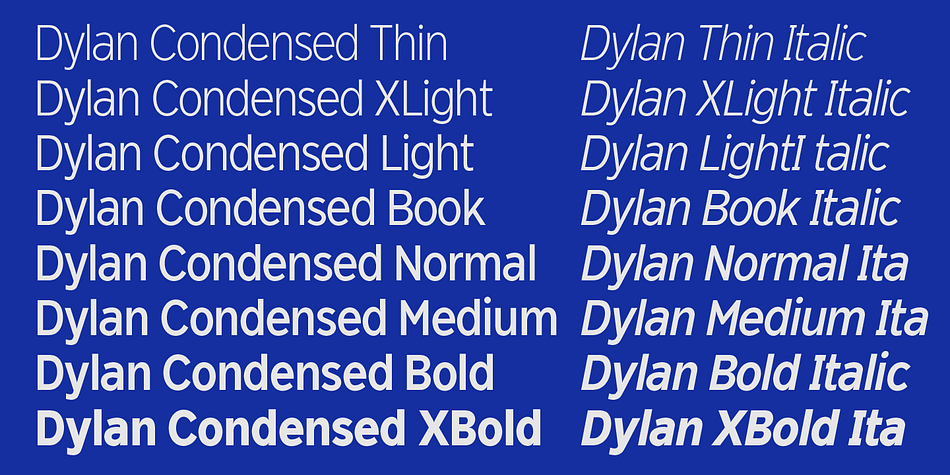 The fonts includes full smallcaps, language support for most European languages plus Turkish, many fractions, nominator and denominators, Greek mathematical signs and many currency symbols.