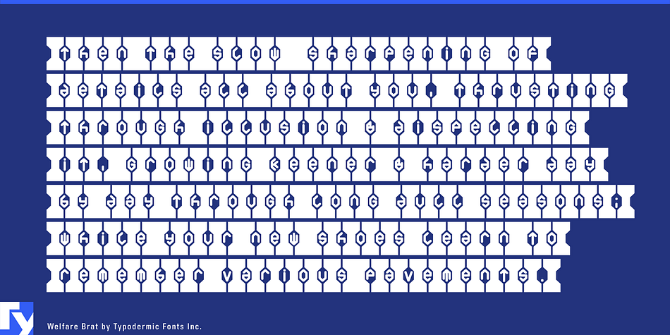 Highlighting the Welfare Brat font family.