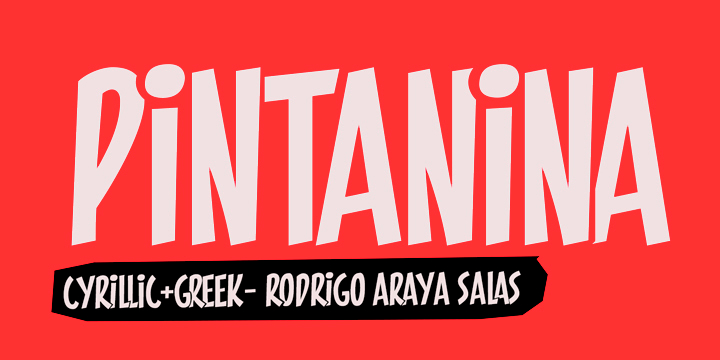Displaying the beauty and characteristics of the PINTANINA font family.