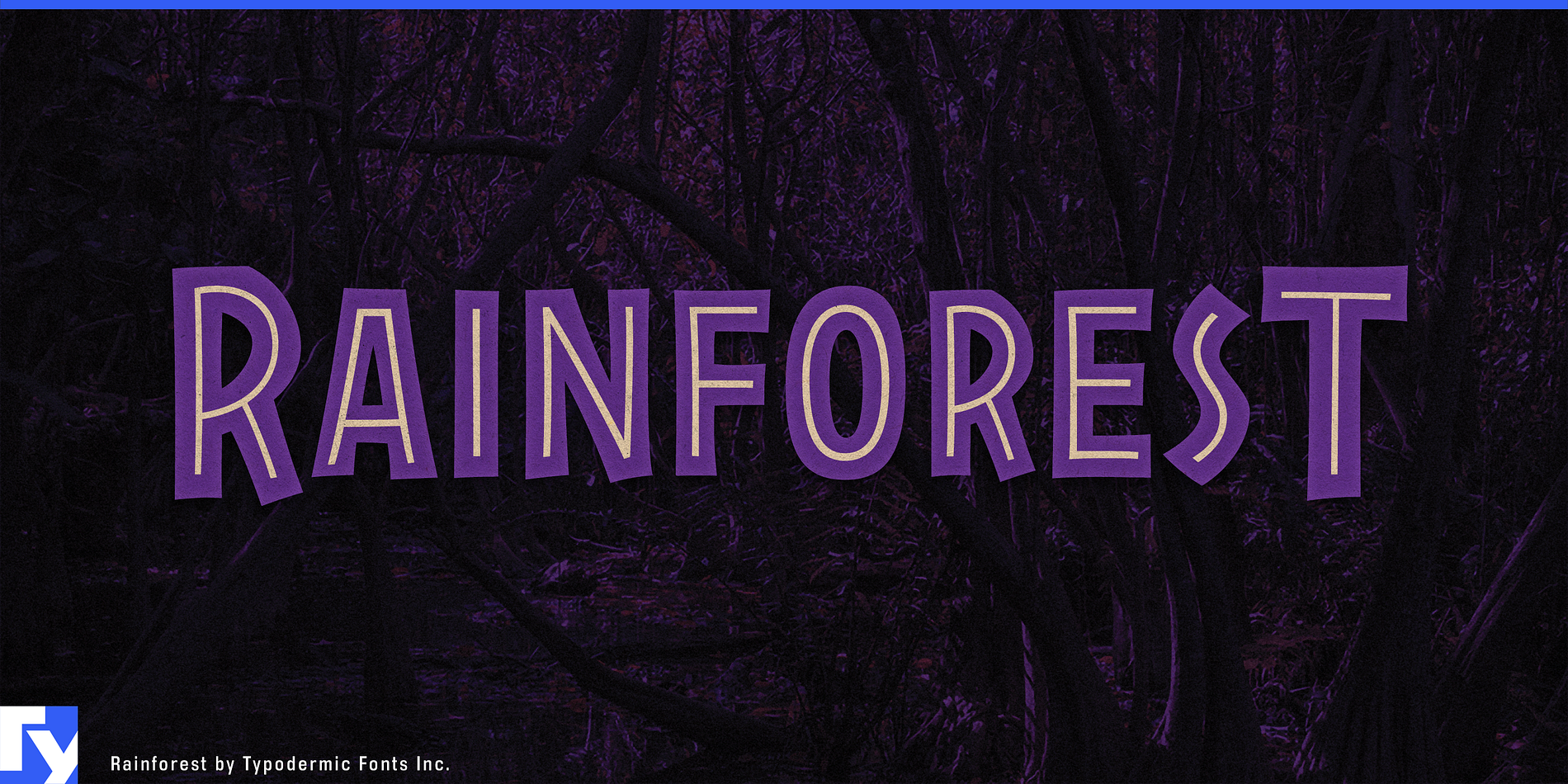 Rainforest