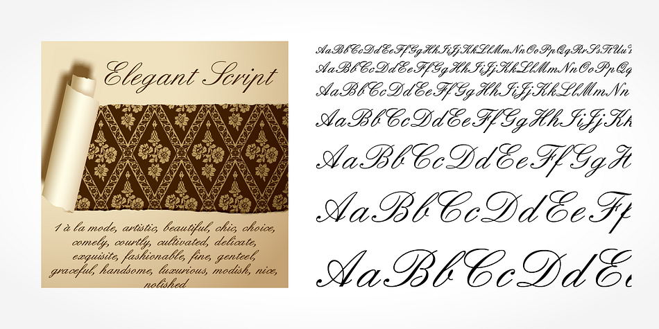 Displaying the beauty and characteristics of the Elegant Script Pro font family.