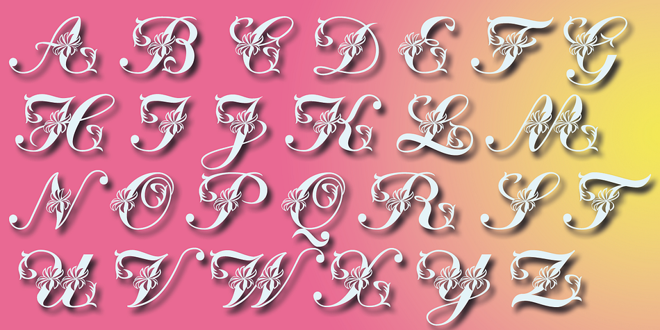 Displaying the beauty and characteristics of the Floralscript font family.