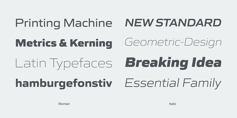 Displaying the beauty and characteristics of the Gomme Sans font family.