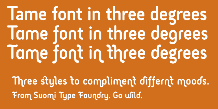 Displaying the beauty and characteristics of the Tame font family.