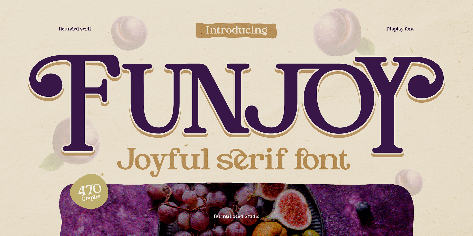 Funjoy